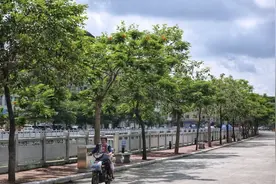 菜地变球场、村口有公园……白云这个村的村民晒幸福图片