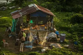 湄公河雨季打渔忙图片