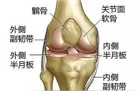最新《膝盖使用说明书》，再不看就晚了图片
