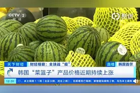 真贵！继韩牛价格每公斤涨到585元后，韩国一个西瓜卖100元图片