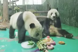 吃“粽子”尝“蛋糕”，大熊猫“星光”迎来4岁生日派对图片