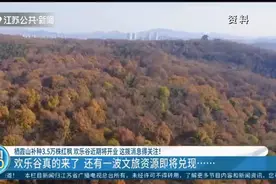 这波消息得关注！南京：栖霞山补种3.5万株红枫，欢乐谷近期开业视频封面