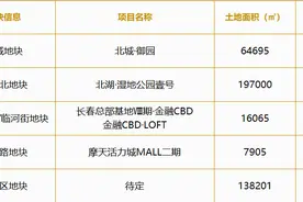 半年新增土储约120万㎡！乘风破浪的「大众置业」，稳居长春楼市C位图片