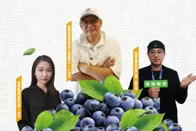 端午假期去哪儿？中梁镇摘蓝莓，1小时飙拢图片