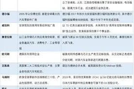 那些“消失”的跨国零部件企业去哪儿了？图片