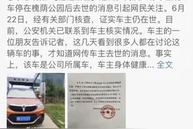 假的！假的！假的图片