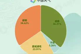 粽子口味地图出炉，终极解密“甜咸之争”图片