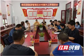 桃花源：以首位意识推进乡村振兴示范片建设图片