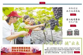 「早安·芜湖」 最后一轮消费券今天开抢，已带动消费近1.3亿元图片