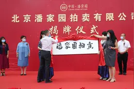 逛潘家园除了捡漏还能玩拍卖，日常生活拍门槛低图片