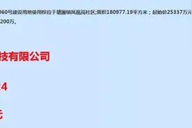 从签约到拿地不到3个月，塘厦刷新重大项目落地速度图片
