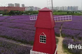 瞰中国|铜都湿地 绽放夏日风情视频封面