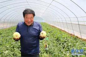 鱼渔兼授 志智双扶——穷沟沟“菜富记”图片