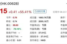 35岁成中国首富却一朝锒铛入狱，今被曝出狱：相关公司股价暴涨图片