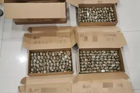 珍贵的555个啊，专家看到这一幕心都碎了！浙江三女子被刑拘图片