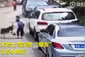 哈士奇咬伤3名孩子遭小区业主驱逐，狗主人：我和狗相依为命图片