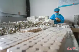 小艾草种出脱贫致富“黄金叶”图片