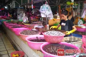 螺蛳或将被列为国家二级保护动物！广西人还能撩螺、吃螺蛳粉吗？图片