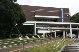 边走路边看手机违法！日本这市出台首个条例 7月正式施行图片