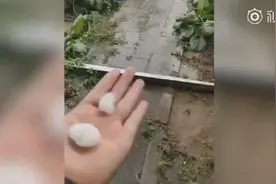北京多区下冰雹：超大个，各种形状图片