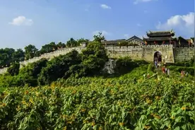 推进景区疫情防控，贵阳花溪这么做图片