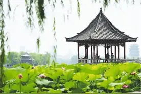泉城的初夏图片
