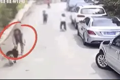 哈士奇突然扑向三个孩子，妈妈用身体去挡也被咬伤！狗主人就站在一旁......图片