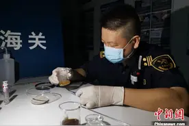 梁伟峰：从千万个邮件中精准找出违禁品的缉毒先锋图片
