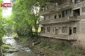 重庆400年老树穿楼生长 楼树交融成奇景视频封面