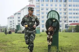 【晨语电台】后来遇见ta，陪我春秋冬夏图片