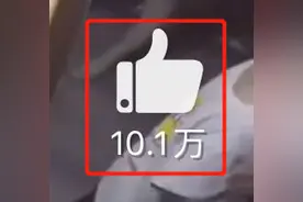100000+点赞！城管替摊主摆摊贴膜，还挣了不少...图片