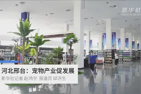 河北邢台：宠物产业促发展视频封面