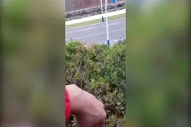 摩洛哥一位农夫记录下自己与宠物山羊的爆笑“对话”图片