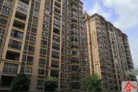 广西一小区14台电梯停运？有人每天爬14层楼回家图片