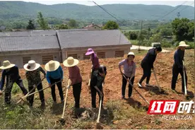 澧县：易地搬迁迁出新希望图片