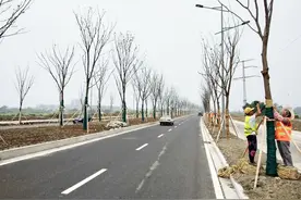 扬子津路将变身“景观带”计划明年底西延到朴席图片