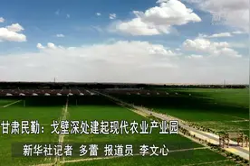 甘肃民勤：戈壁深处建起现代农业产业园视频封面