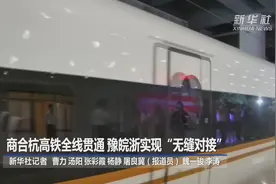 商合杭高铁全线贯通 豫皖浙实现“无缝对接”视频封面