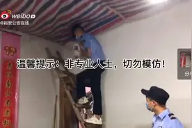 六安一居民家中遇马蜂“做窝”民警变身“拆迁专家”图片