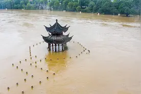 直击：南川暴雨致凤嘴江河水上涨 滨河公园被淹视频封面
