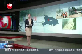 湖北宜昌：暴雨致城区积水  交警涉水砸窗救援被困群众视频封面