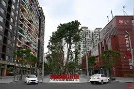 打卡成都版“爱乐之城”，来成都音乐坊感受城市之美图片