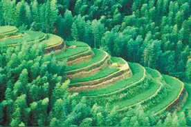 药姑山上百药全 山歌药香漫心田图片