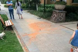 两小孩在小区楼顶玩“抛物”游戏，业主和家长为这事儿吵翻了……图片