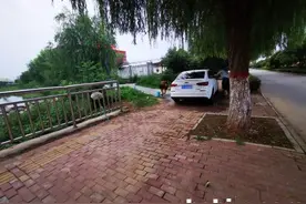 河边洗车，小心被罚图片