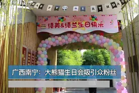 世界那么大丨广西南宁：大熊猫生日会吸引众粉丝视频封面