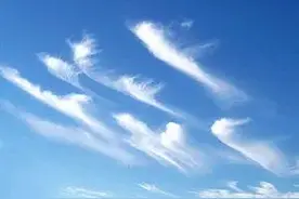 “偷偷告密”的云图片