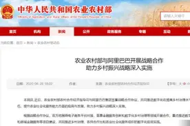 农业农村部与阿里巴巴战略合作 依托钉钉共建乡村数字化治理平台图片