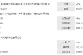单价16.5万！上海“史上最贵豪宅”开盘 还有楼盘认购率达700%图片