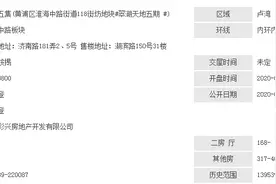 单价16.5万！上海“史上最贵豪宅”开盘，还有楼盘认购率达700%图片